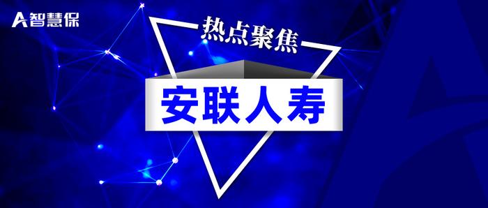 中德安联保险