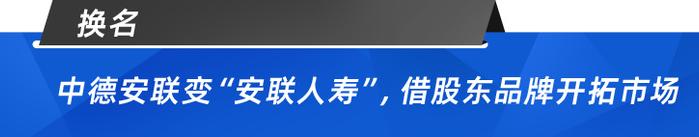 中德安联保险