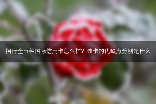 招行全币种国际信用卡怎么样？该卡的优缺点分别是什么