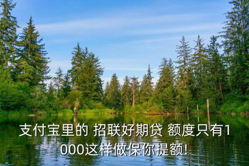 支付宝里的 招联好期贷 额度只有1000这样做保你提额!