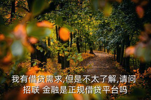 我有借贷需求,但是不太了解,请问 招联 金融是正规借贷平台吗