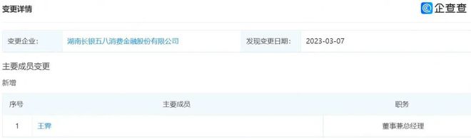长银消费金融