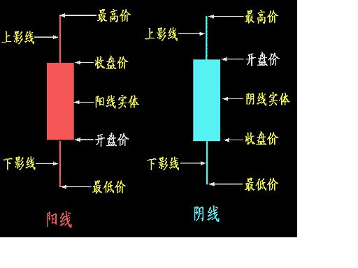 孕线形态
