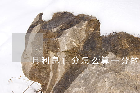 月利息1分怎么算(一分的月利息怎么算)