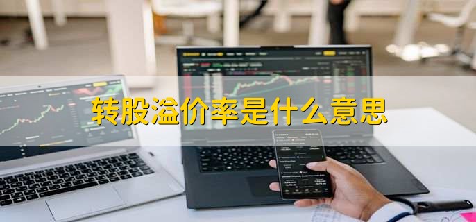 溢价率是什么意思