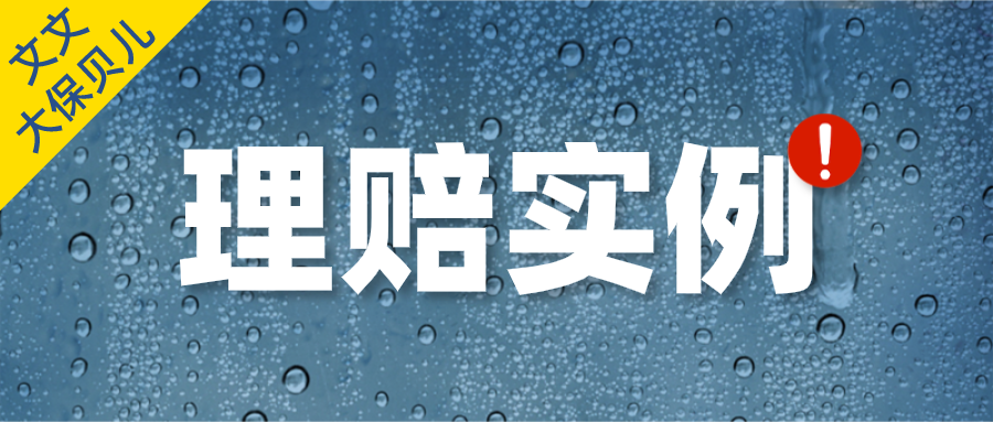 学平险多少钱一年