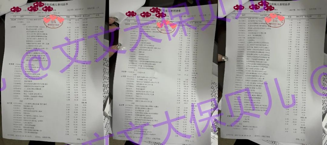 学平险多少钱一年
