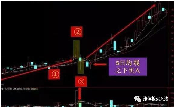 学看k线图
