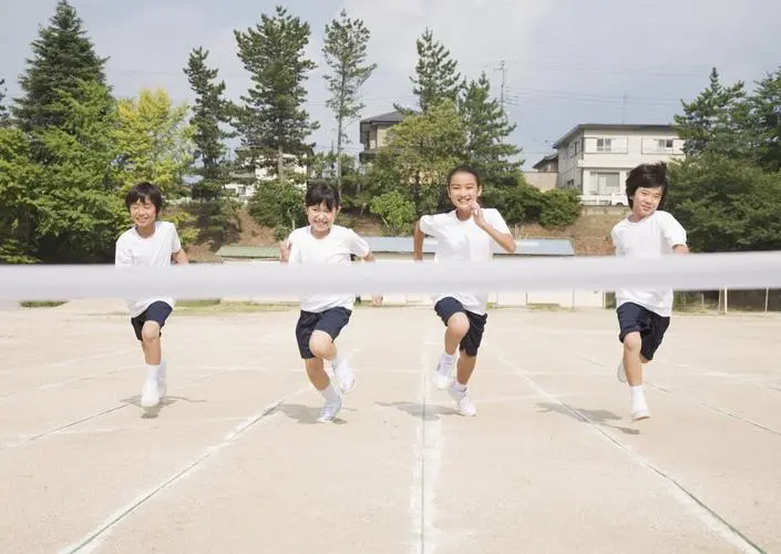 学平险多少钱