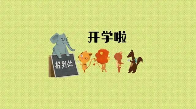 学平险多少钱一年