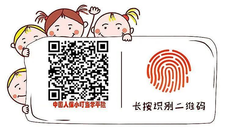 学平险多少钱一年