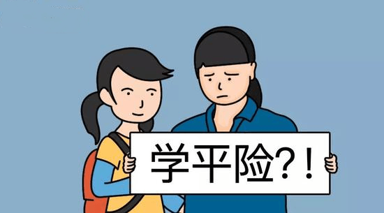 学平险多少钱一年