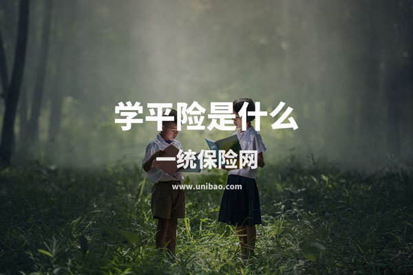 学平险是什么