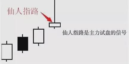 仙人指路k线图