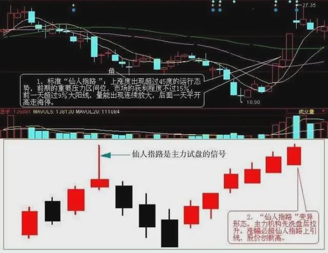 仙人指路k线图