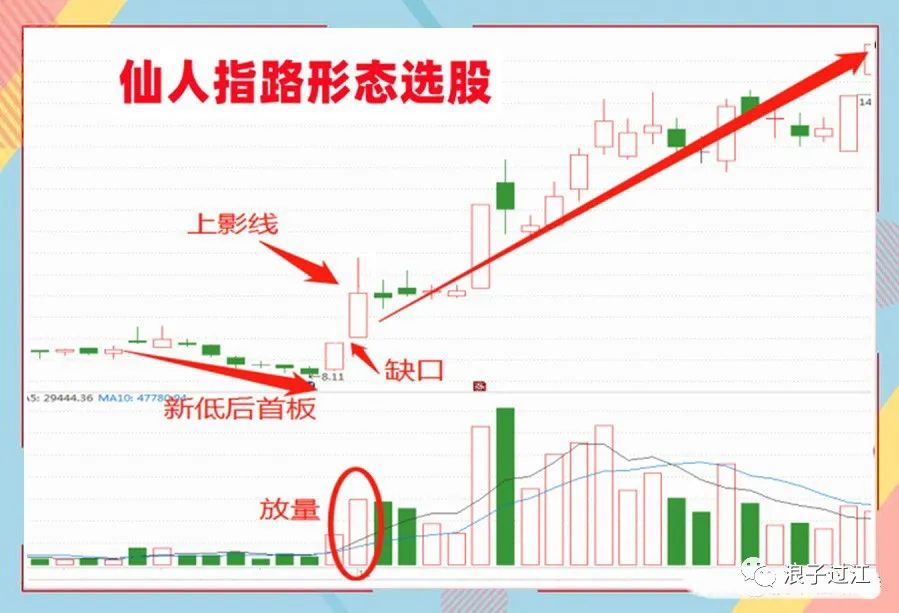 仙人指路k线