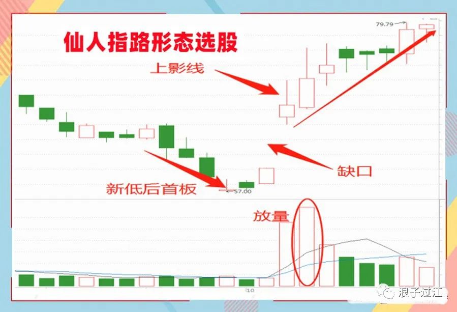 仙人指路k线