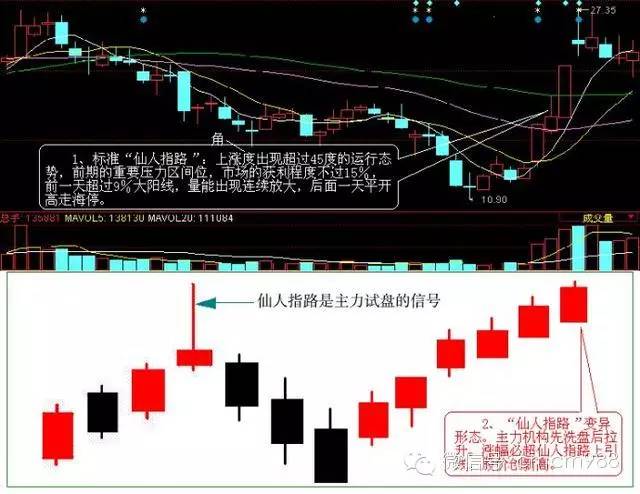 仙人指路k线