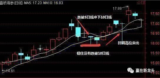 五日线怎么看图解