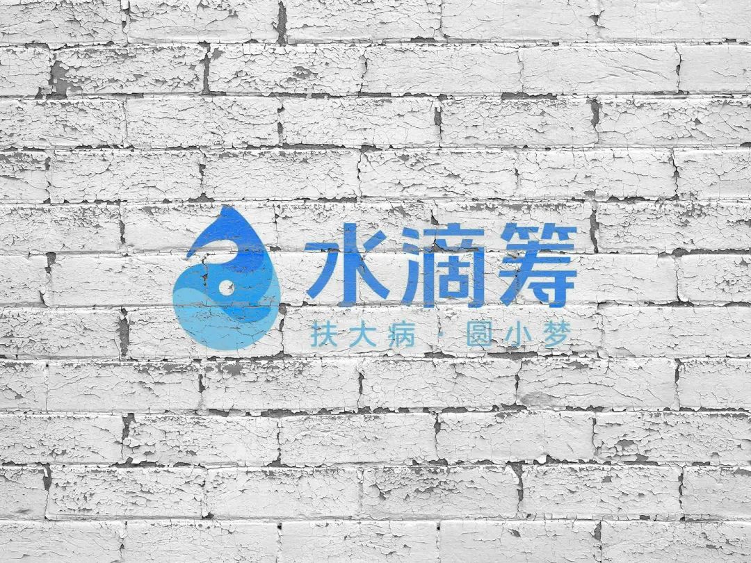 网上怎么筹款