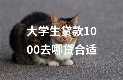 大学生贷款1000去哪贷合适