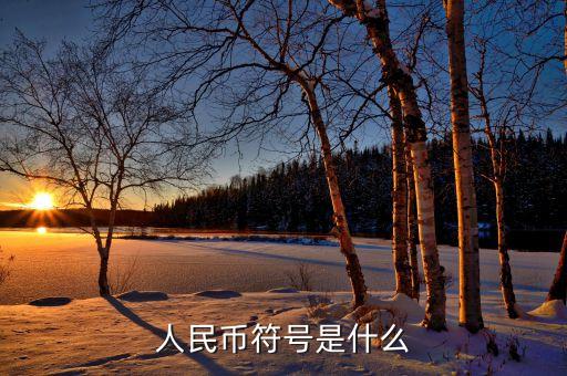 人民币符号是什么
