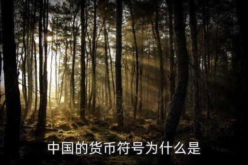 中国的货币符号为什么是
