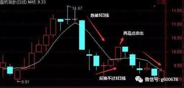 五日线怎么看图解