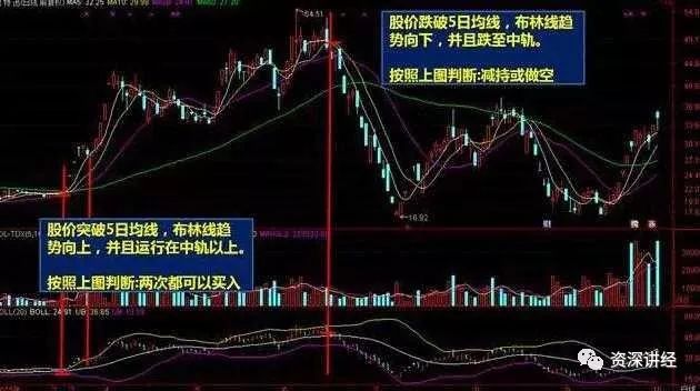 五日线怎么看图解