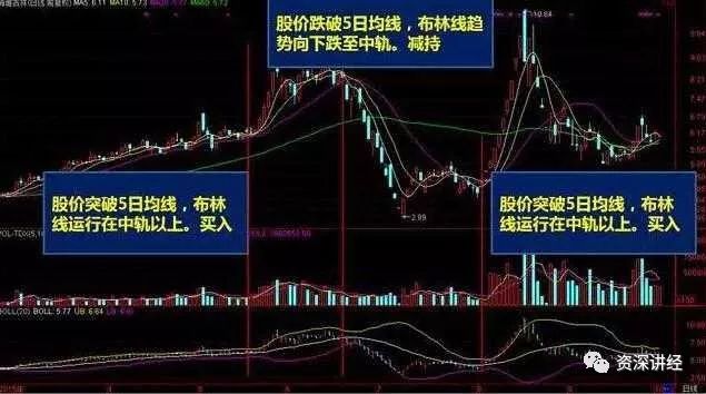 五日线怎么看图解