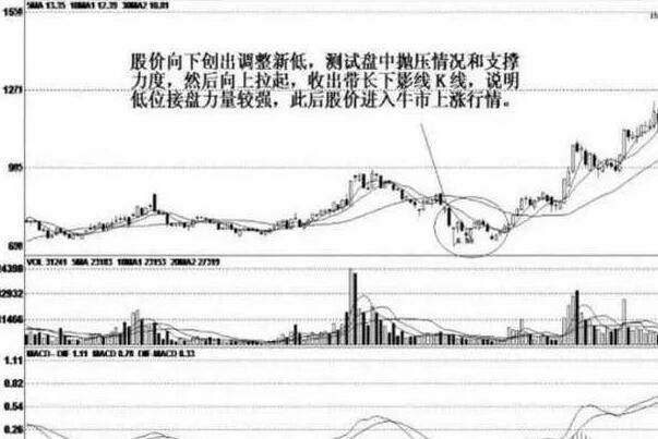 双底形态