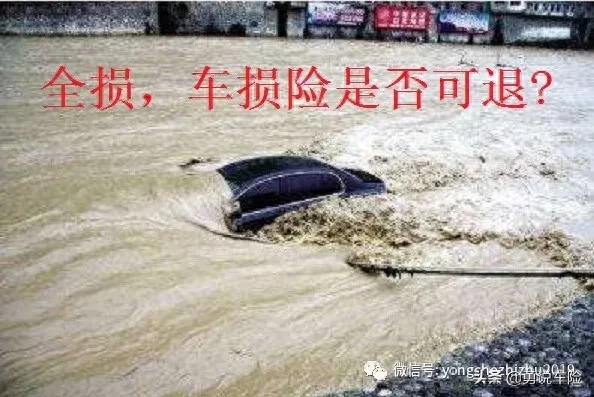 全损险
