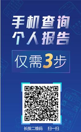鹏元征信