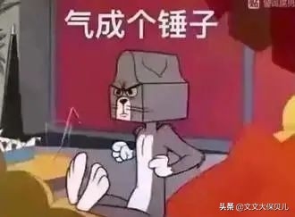 配债是什么意思