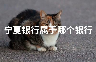宁夏银行属于哪个银行