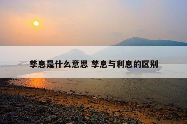 孽息与孳息