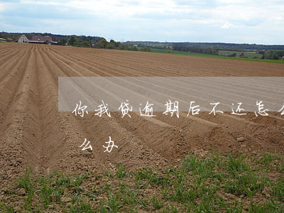 你我贷逾期后不还怎么办(你我贷还不了款怎么办)