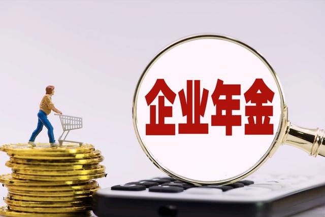 怎么查自己的企业年金（怎么查询自己的企业年金账户资金有多少）(2)