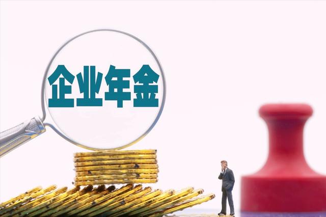 怎么查自己的企业年金（怎么查询自己的企业年金账户资金有多少）(4)