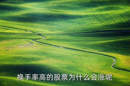 换手率高的股票为什么会涨呢