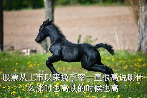 股票从上市以来换手率一直很高说明什么涨时也高跌的时候也高