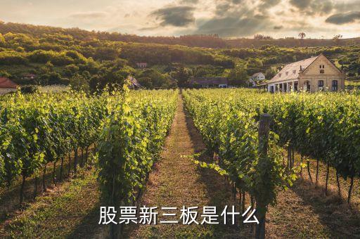 股票新三板是什么