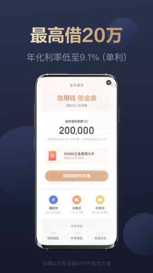 京东白条下载
