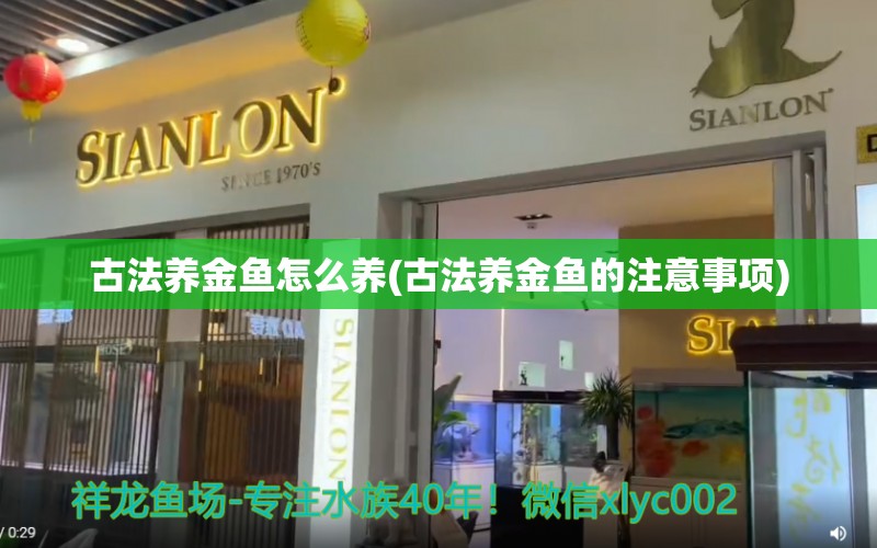 金鱼满堂
