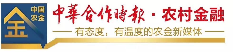 金农易贷