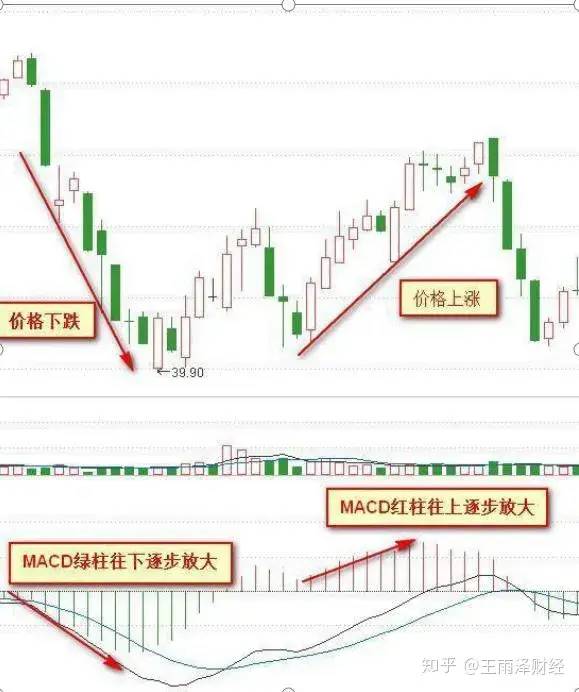 金叉是什么意思