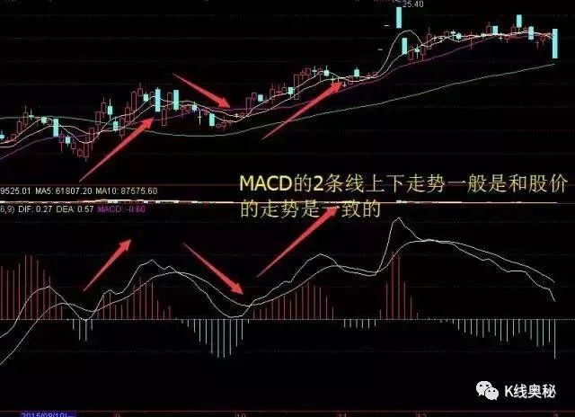 金叉是什么意思