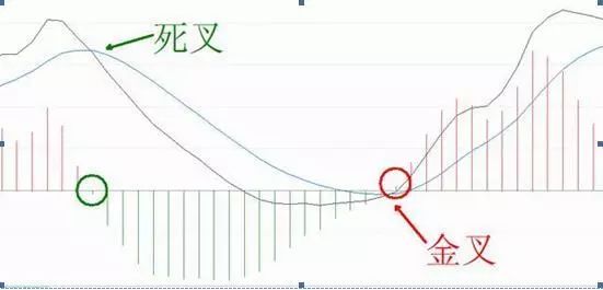 金叉是什么意思