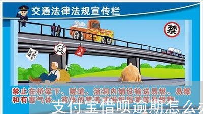 支付宝借呗逾期怎么办