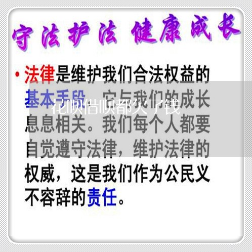 花呗借呗都欠了钱
